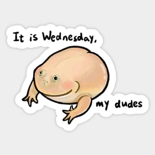 It is wednesday my dudes frog meme Sticker